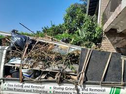 Best Residential Junk Removal  in Lorain, OH